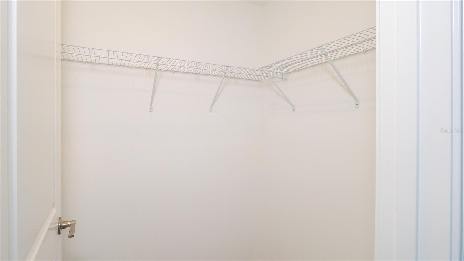 10069 BRANCHING SHIP TRCE — photo 31