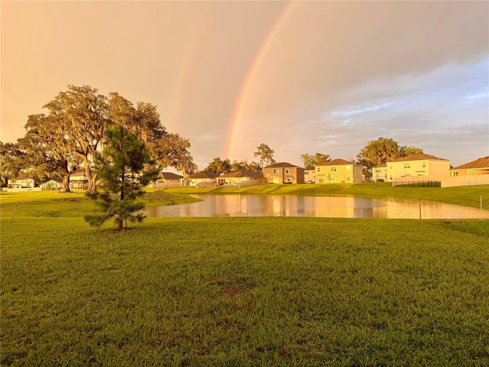11304 SPOONBILL FLOCK WAY — photo 14