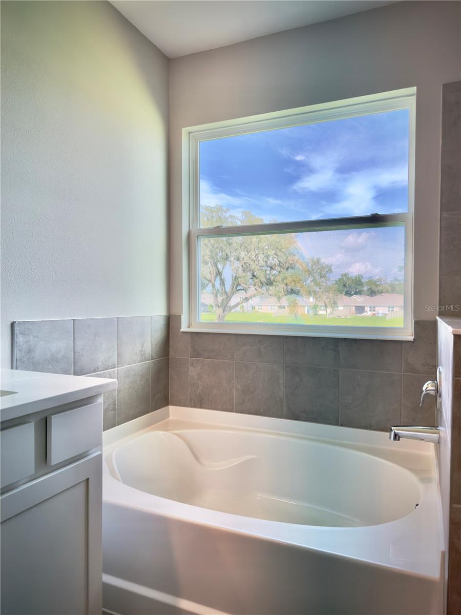 11304 SPOONBILL FLOCK WAY — photo 33