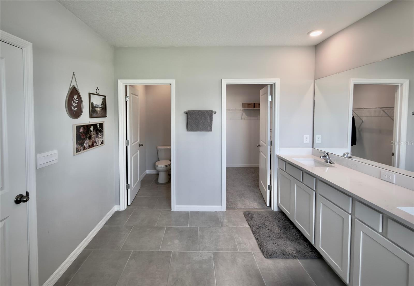 11304 SPOONBILL FLOCK WAY — photo 35