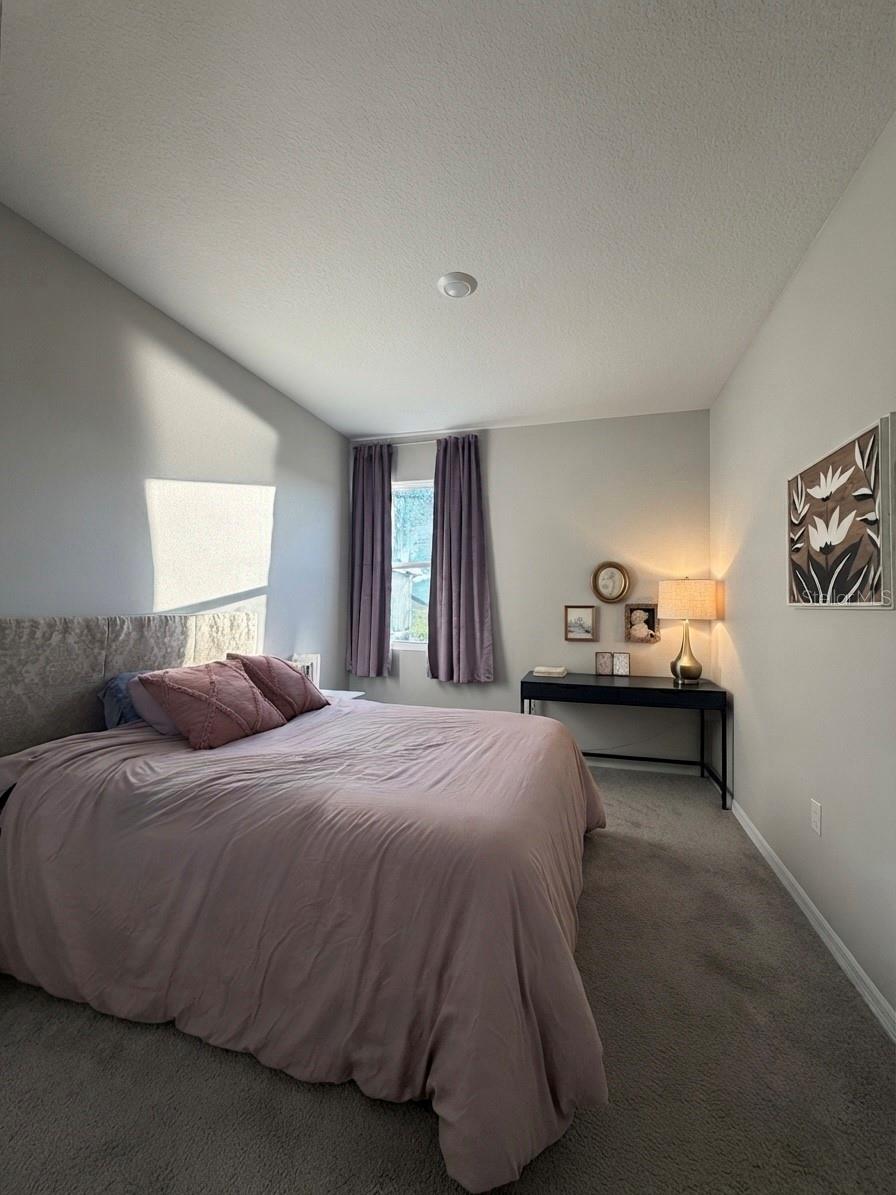 11304 SPOONBILL FLOCK WAY — photo 44