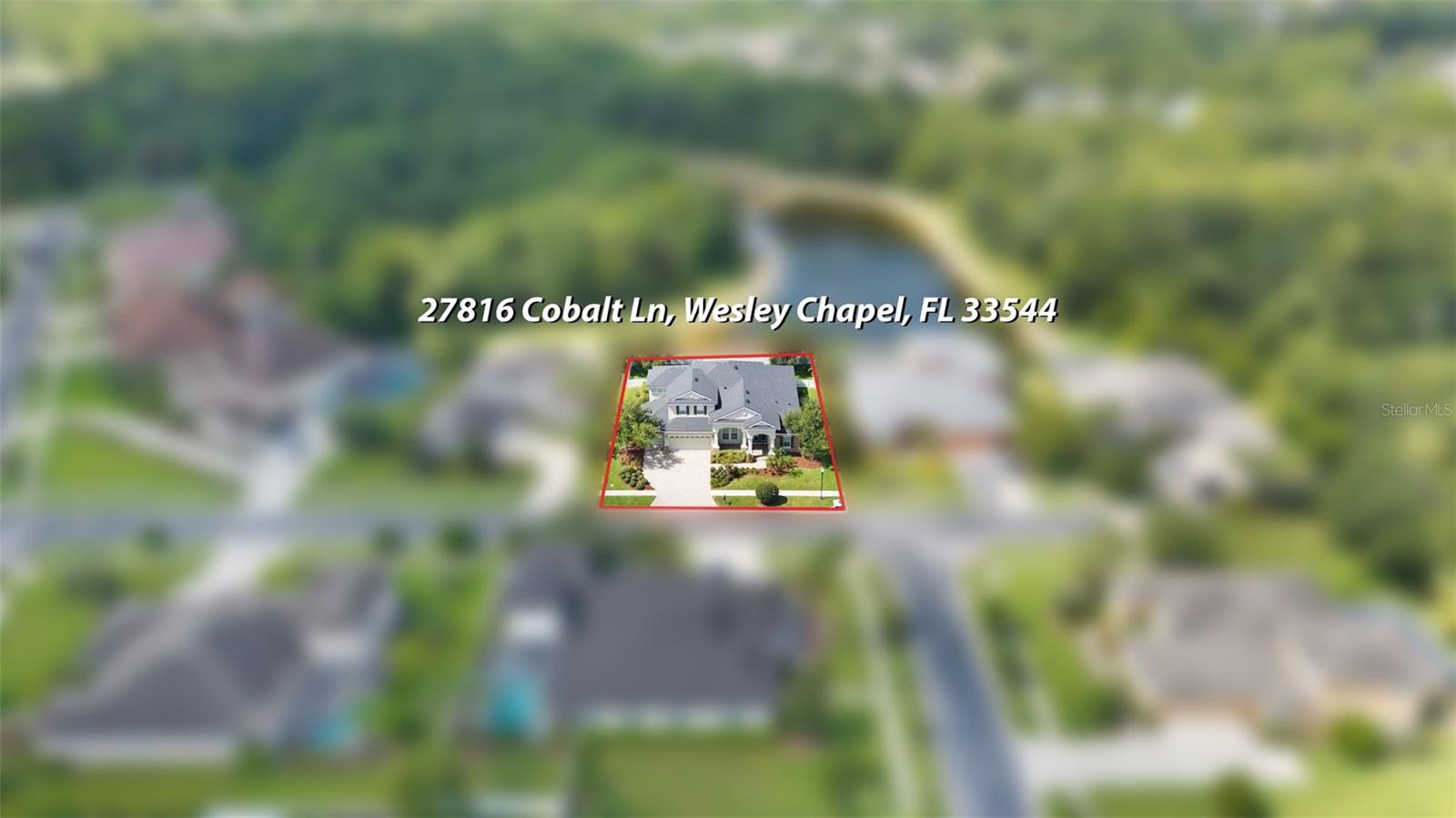 27816 COBALT LN — photo 54