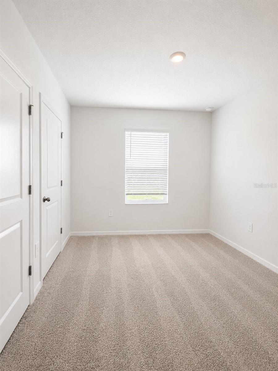 31170 PAPER BIRCH ST — photo 11