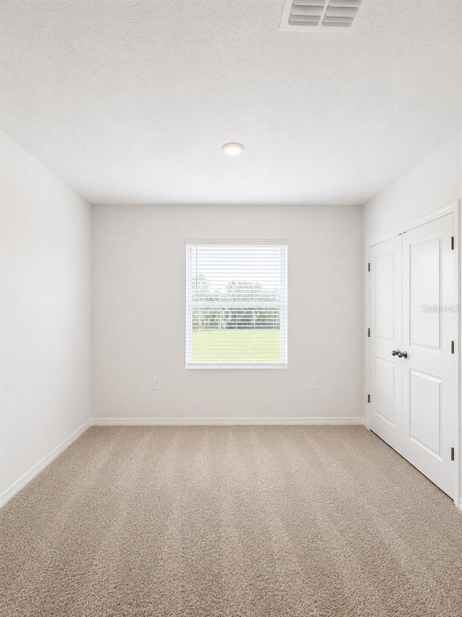 31170 PAPER BIRCH ST — photo 15