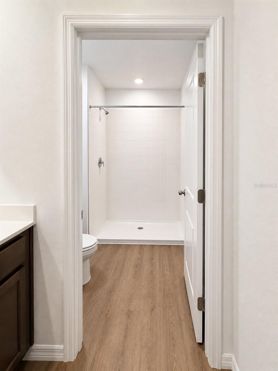 31170 PAPER BIRCH ST — photo 10