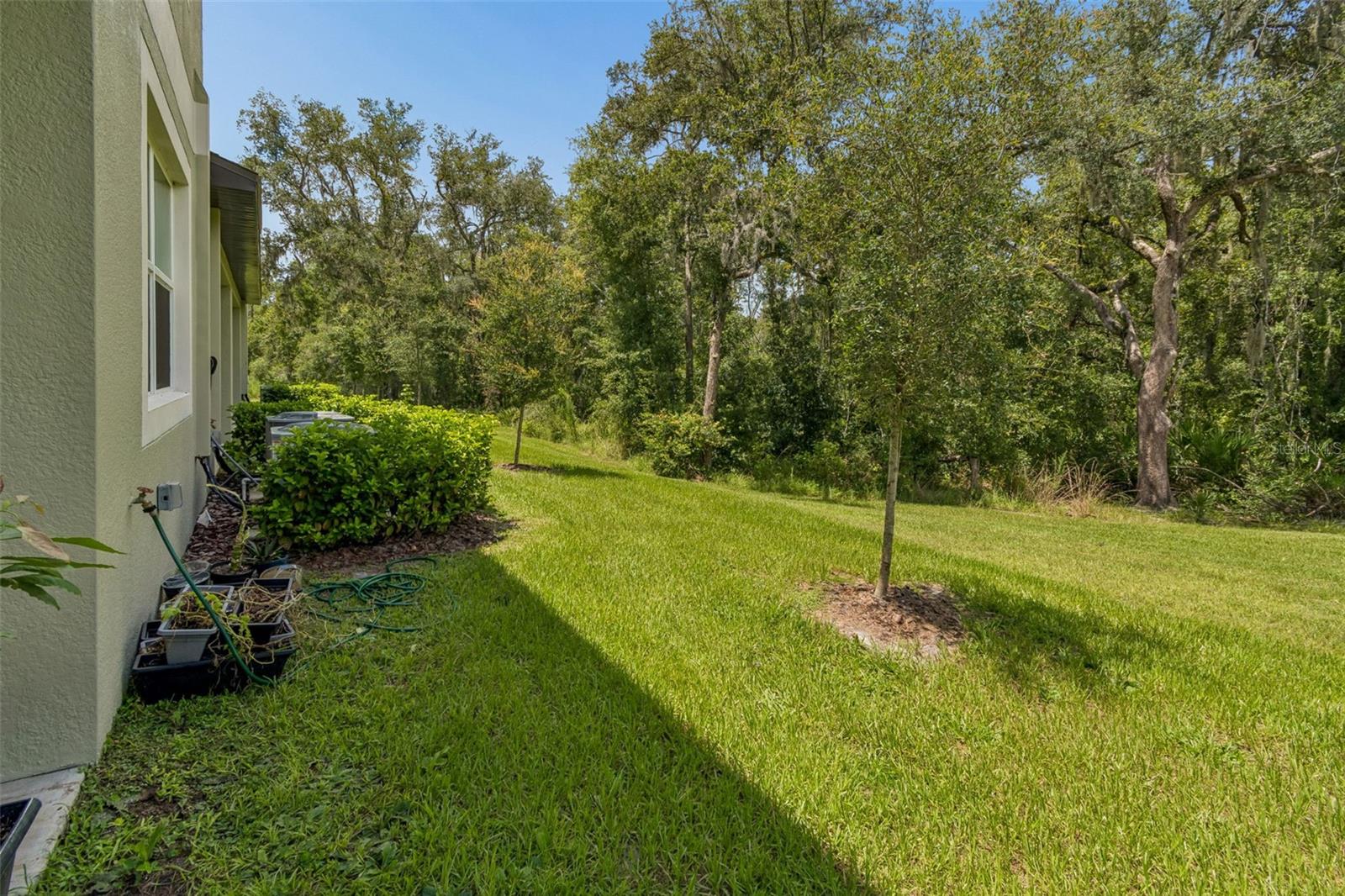 11166 WISHING CLOUD RD — photo 41