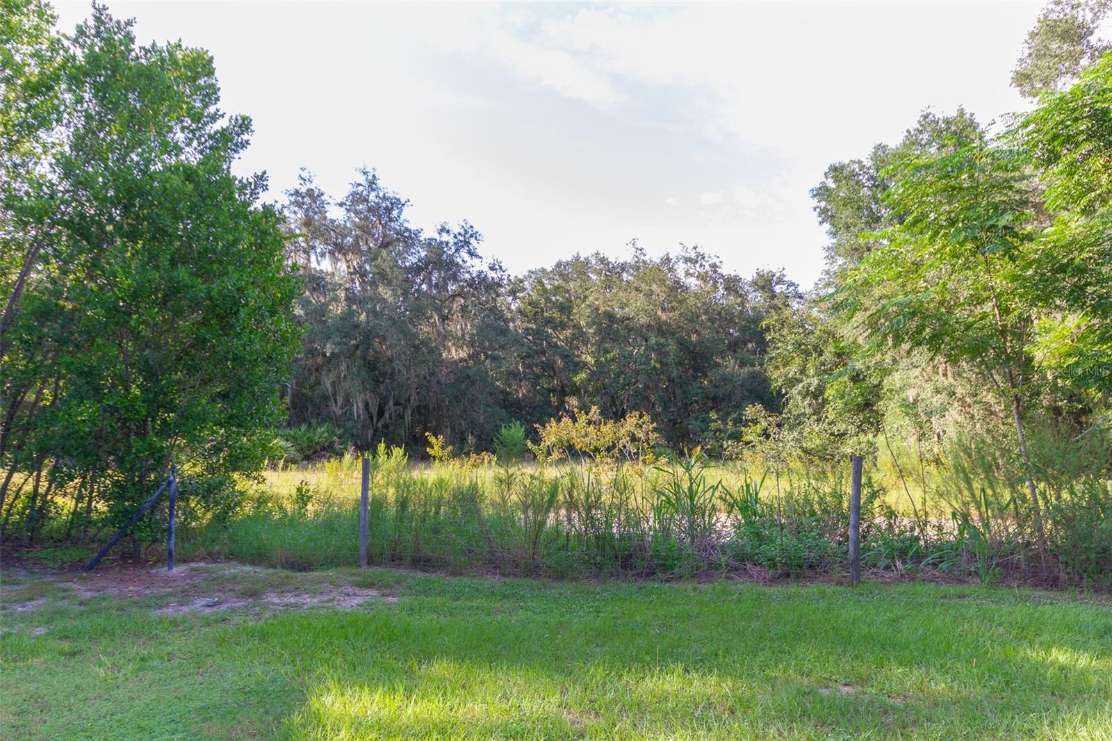 12231 KELLY LN — photo 33