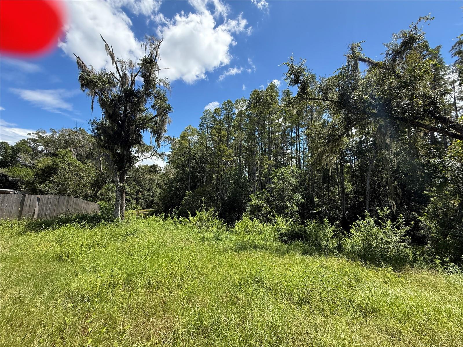 19036 BREWER RD — photo 20