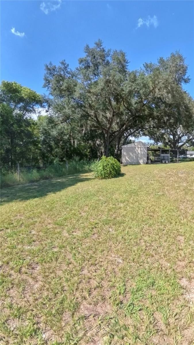 12215 ORCHID LN — photo 29