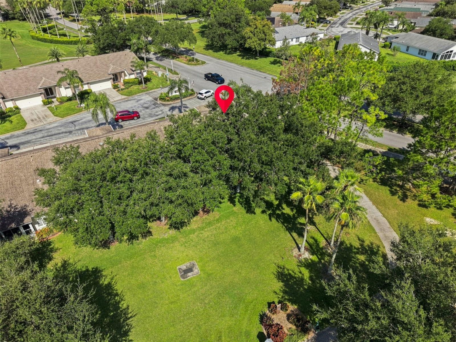 1236 FLORA VISTA ST — photo 44