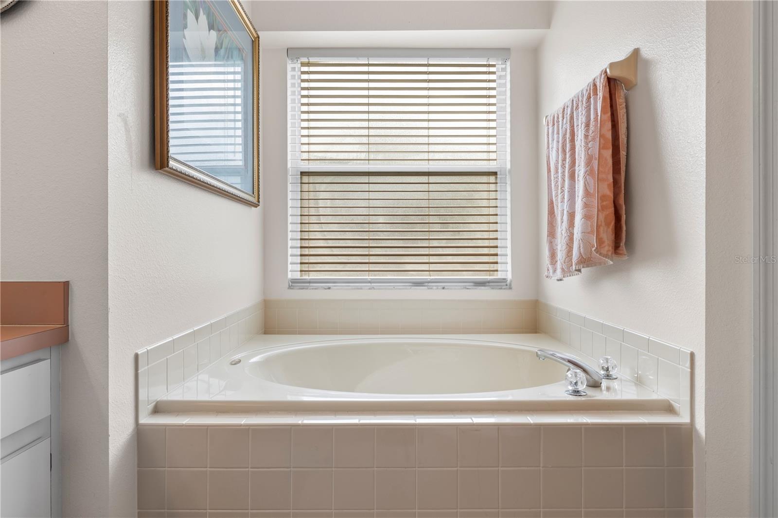 9808 LONG MEADOW DR — photo 37