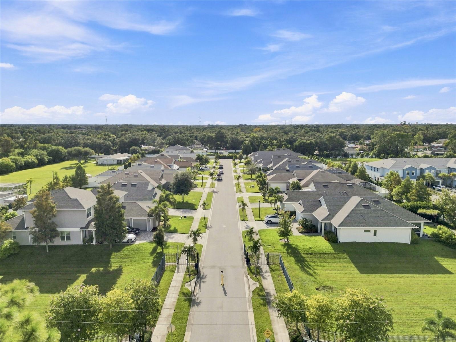 2985 BREEZY MEADOWS DR — photo 48