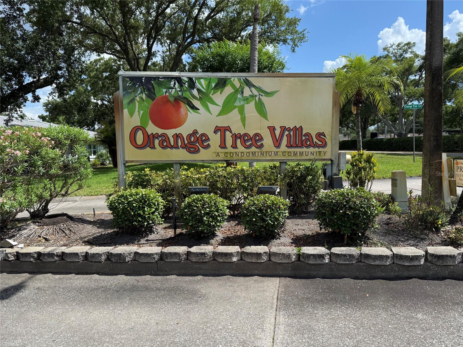 2833 ORANGE TREE CIR N #A — photo 23