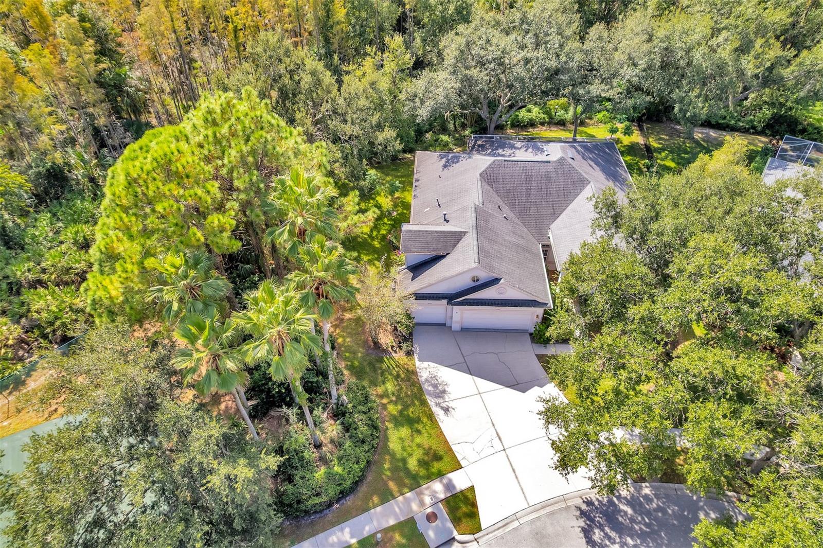 Home in TAMPA — photo 40