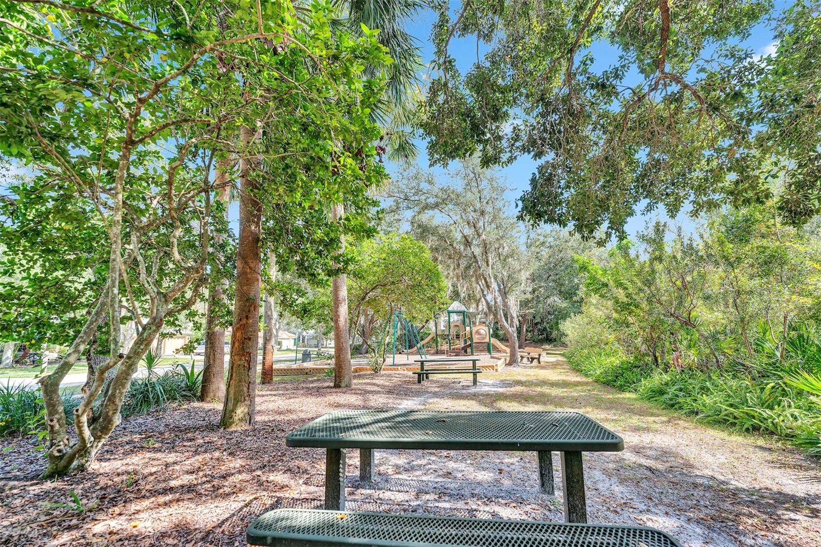 Home in TAMPA — photo 45