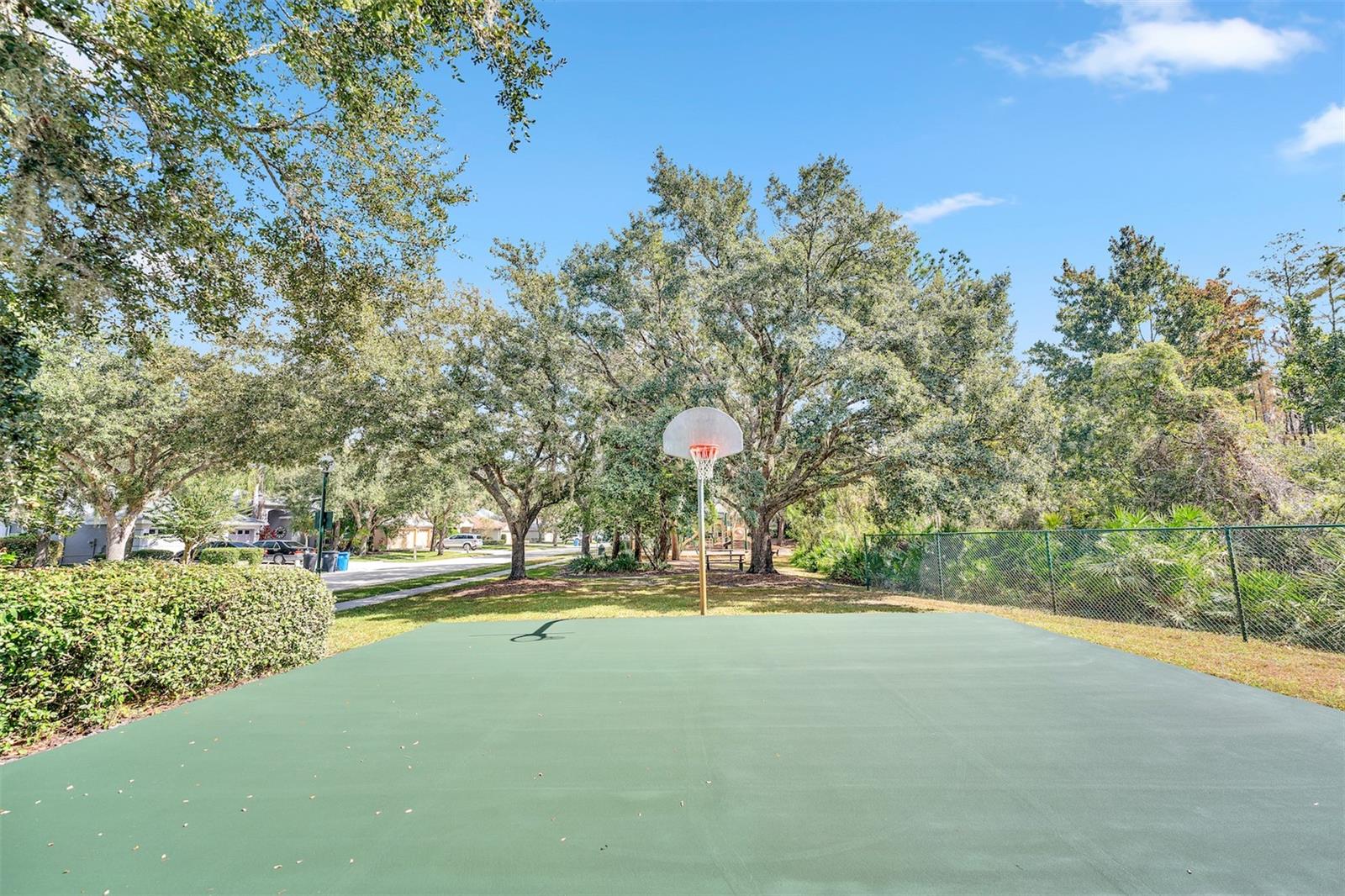 Home in TAMPA — photo 42