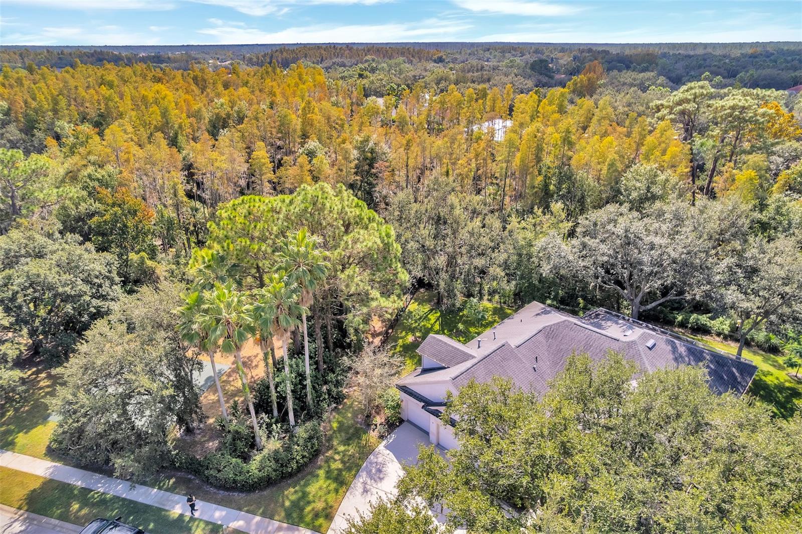Home in TAMPA — photo 39