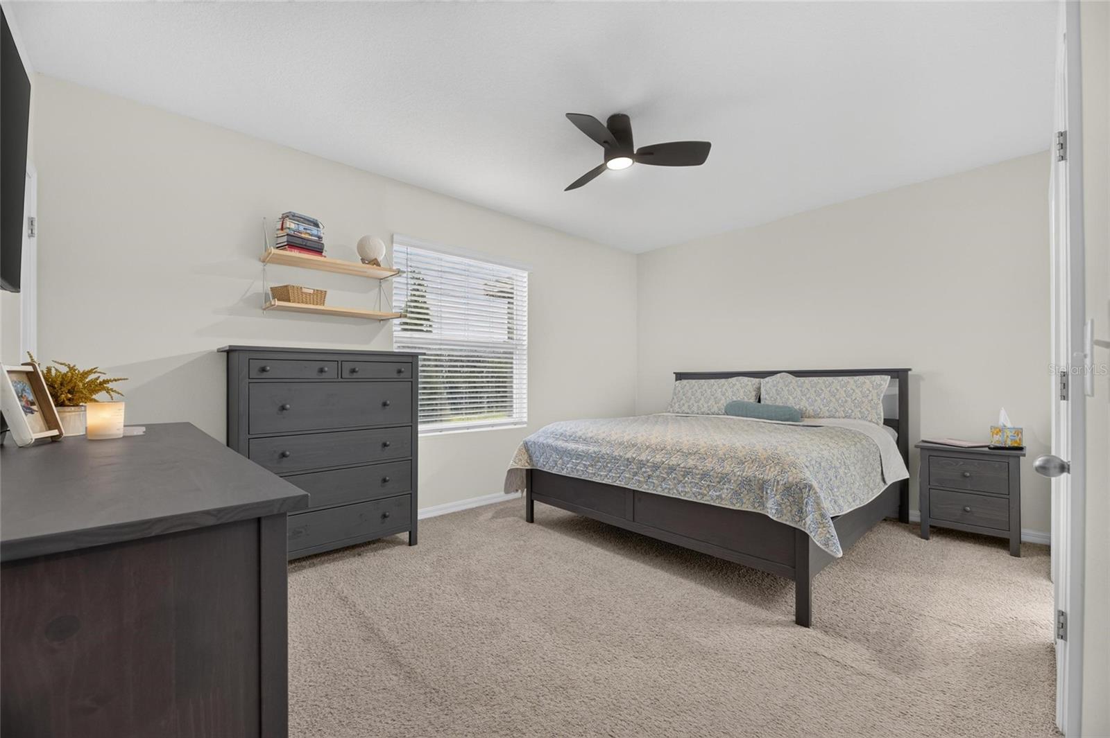 8669 FALLING BLUE PL — photo 46