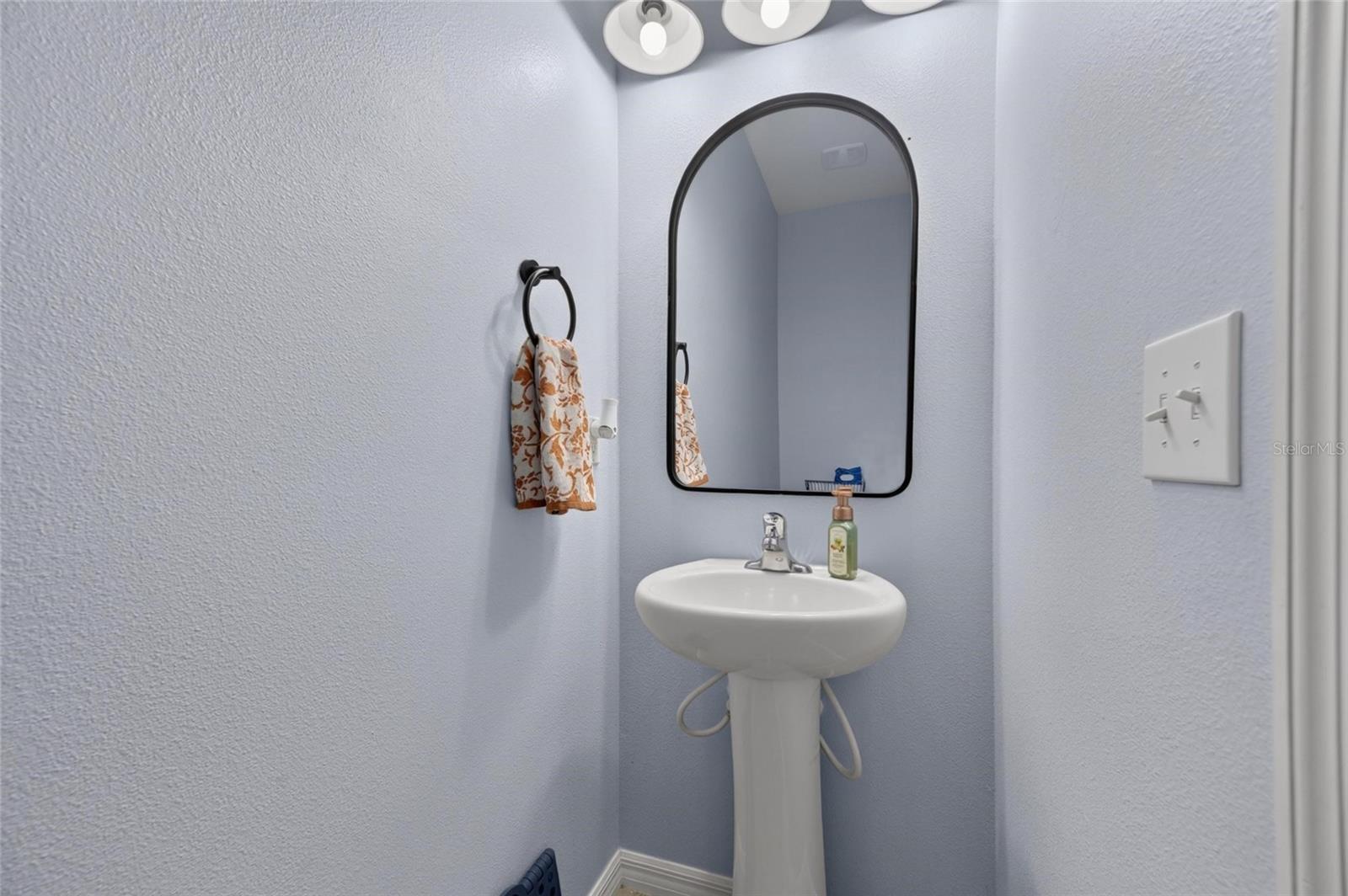 8669 FALLING BLUE PL — photo 33