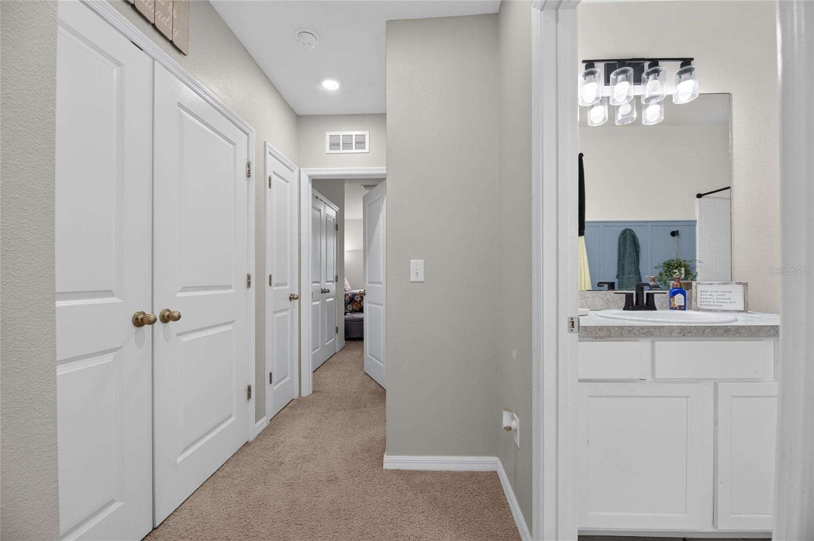 8669 FALLING BLUE PL — photo 42