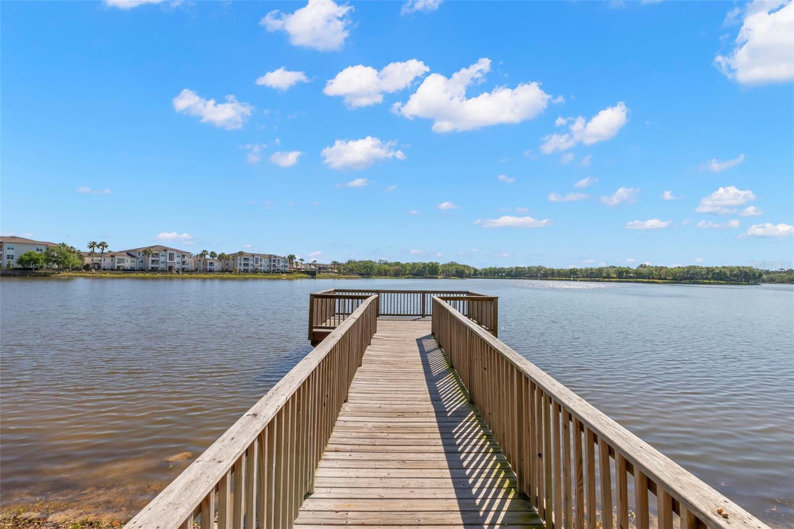 14743 CANOPY DR — photo 45