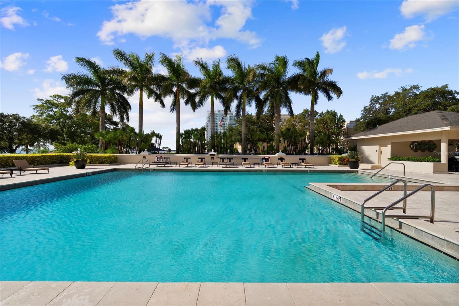 3301 BAYSHORE BLVD #505C — photo 42