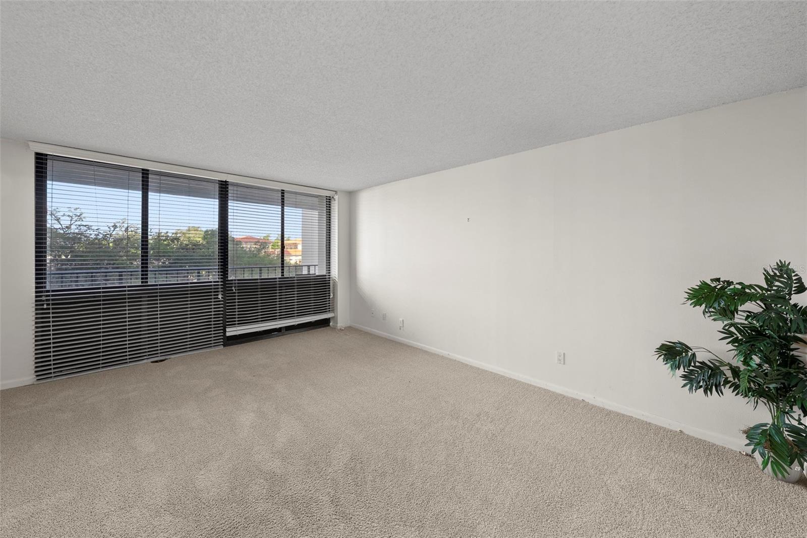3301 BAYSHORE BLVD #505C — photo 13