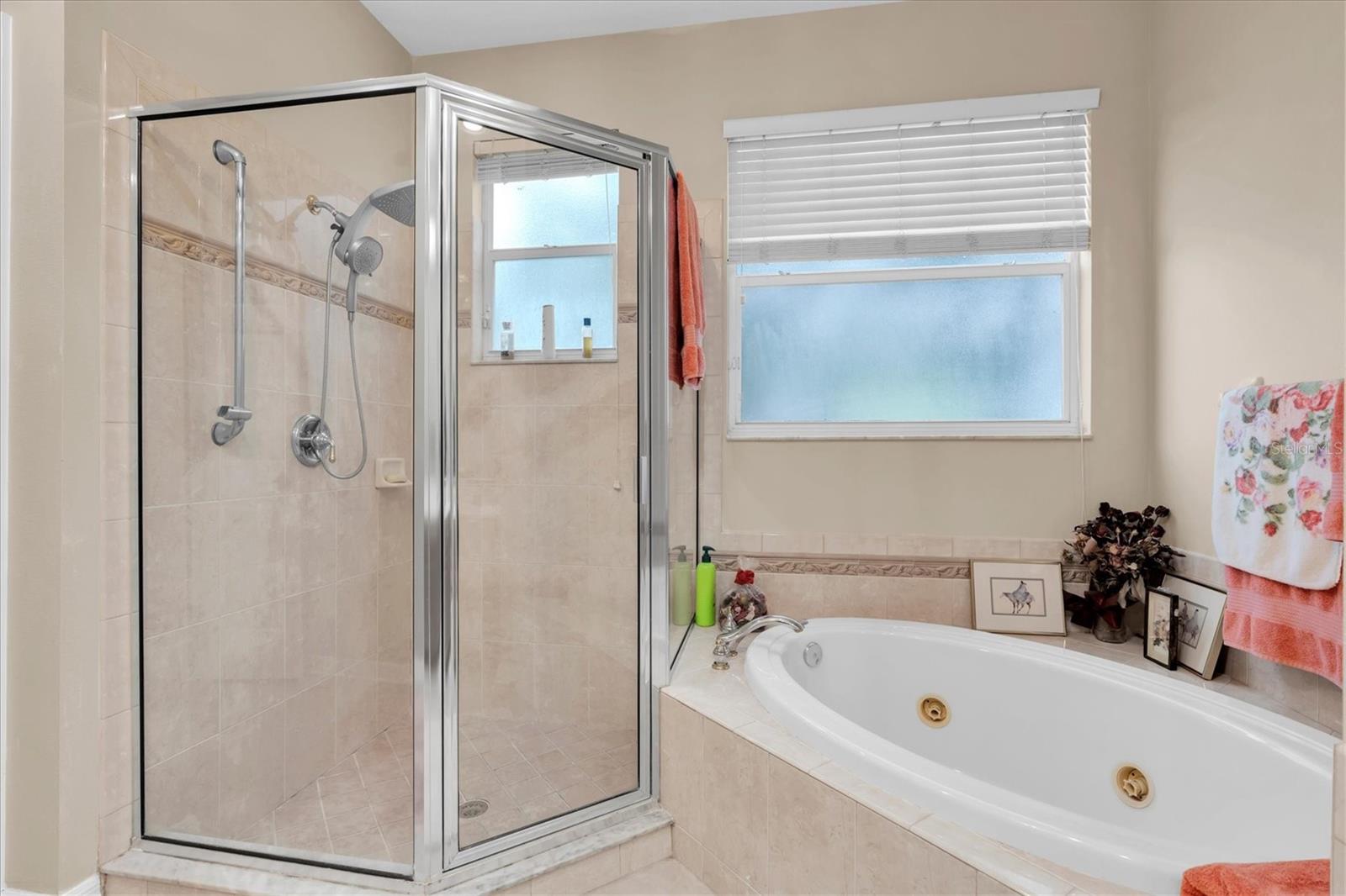 10436 CANARY ISLE DR — photo 28