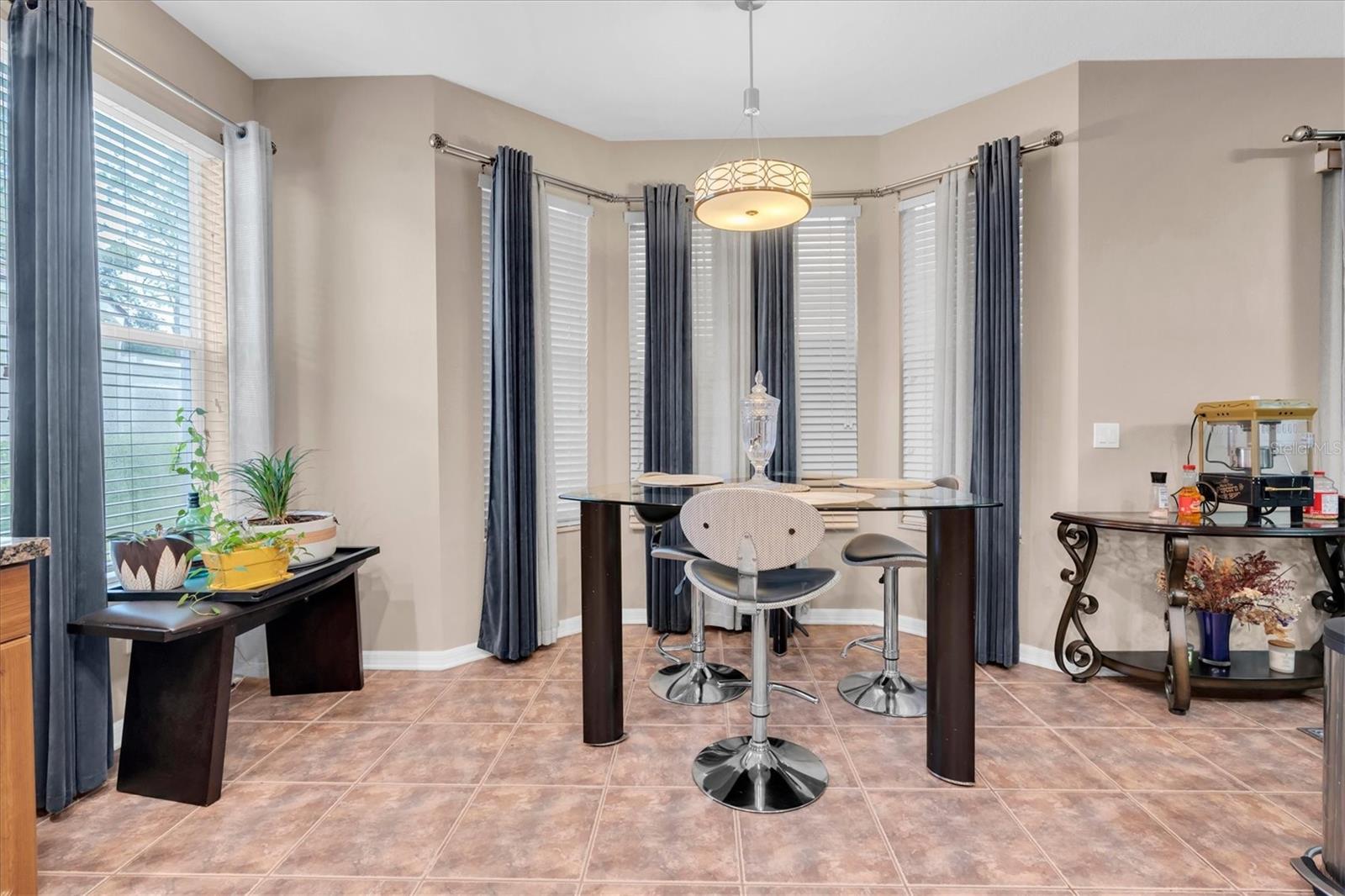 10436 CANARY ISLE DR — photo 16