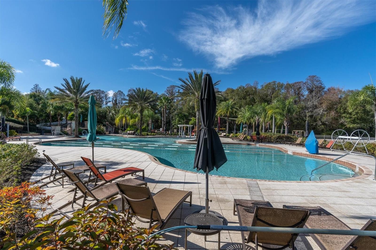10436 CANARY ISLE DR — photo 73
