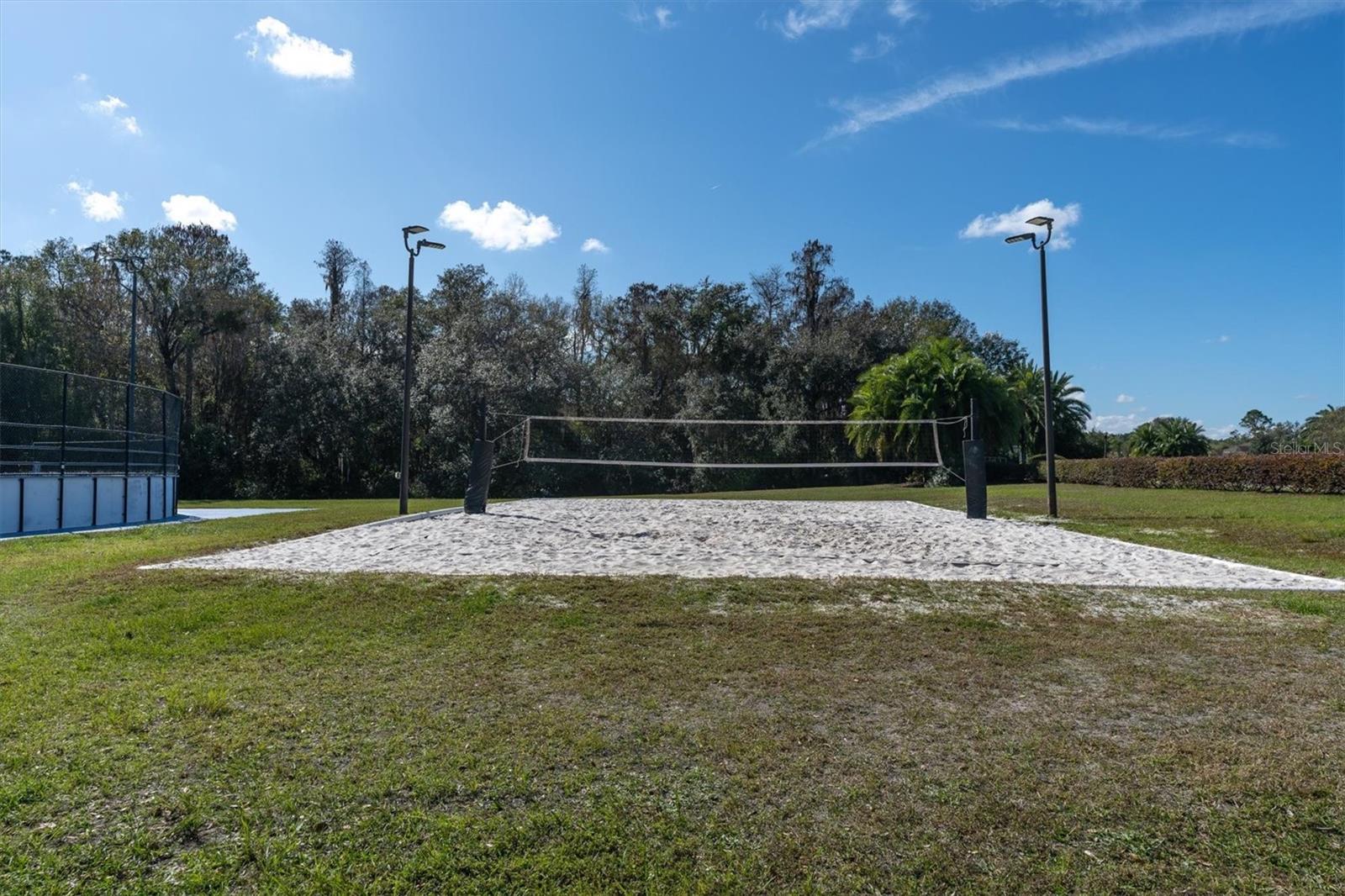10436 CANARY ISLE DR — photo 75
