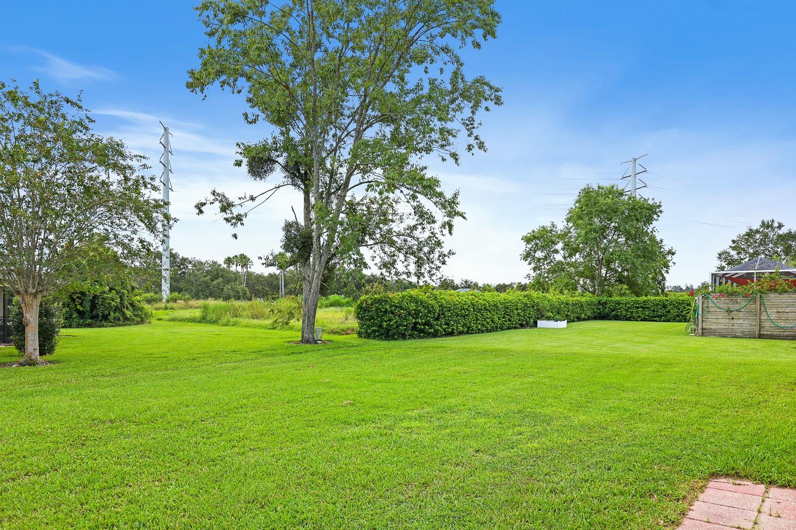 6346 SILVER OAKS DR — photo 25