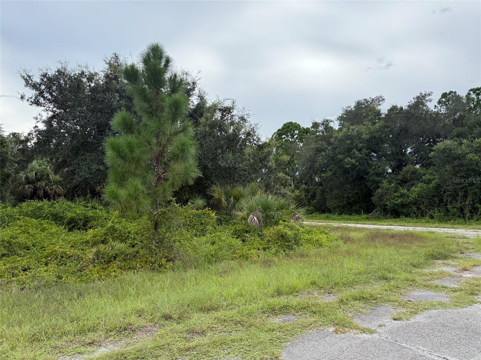 Lot 1 GASKINS CIR — photo 4