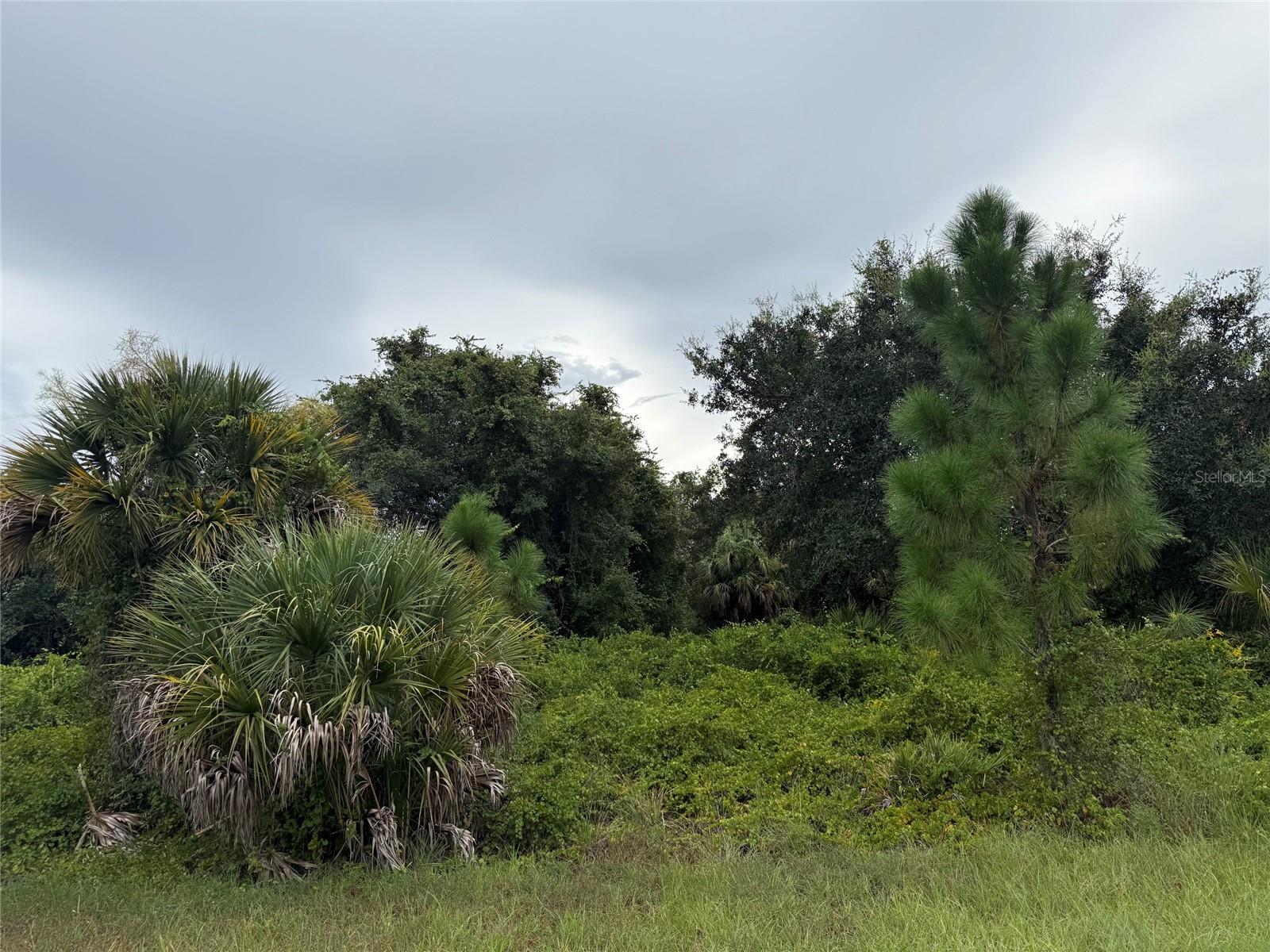 Lot 1 GASKINS CIR — photo 3