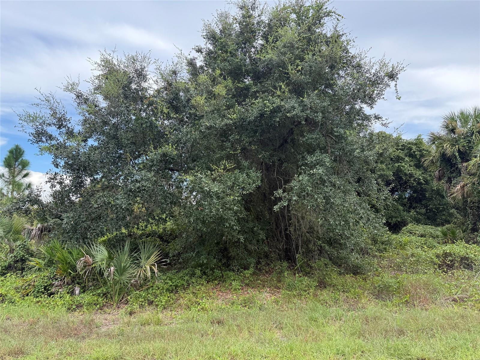 Lot 1 GASKINS CIR — photo 2