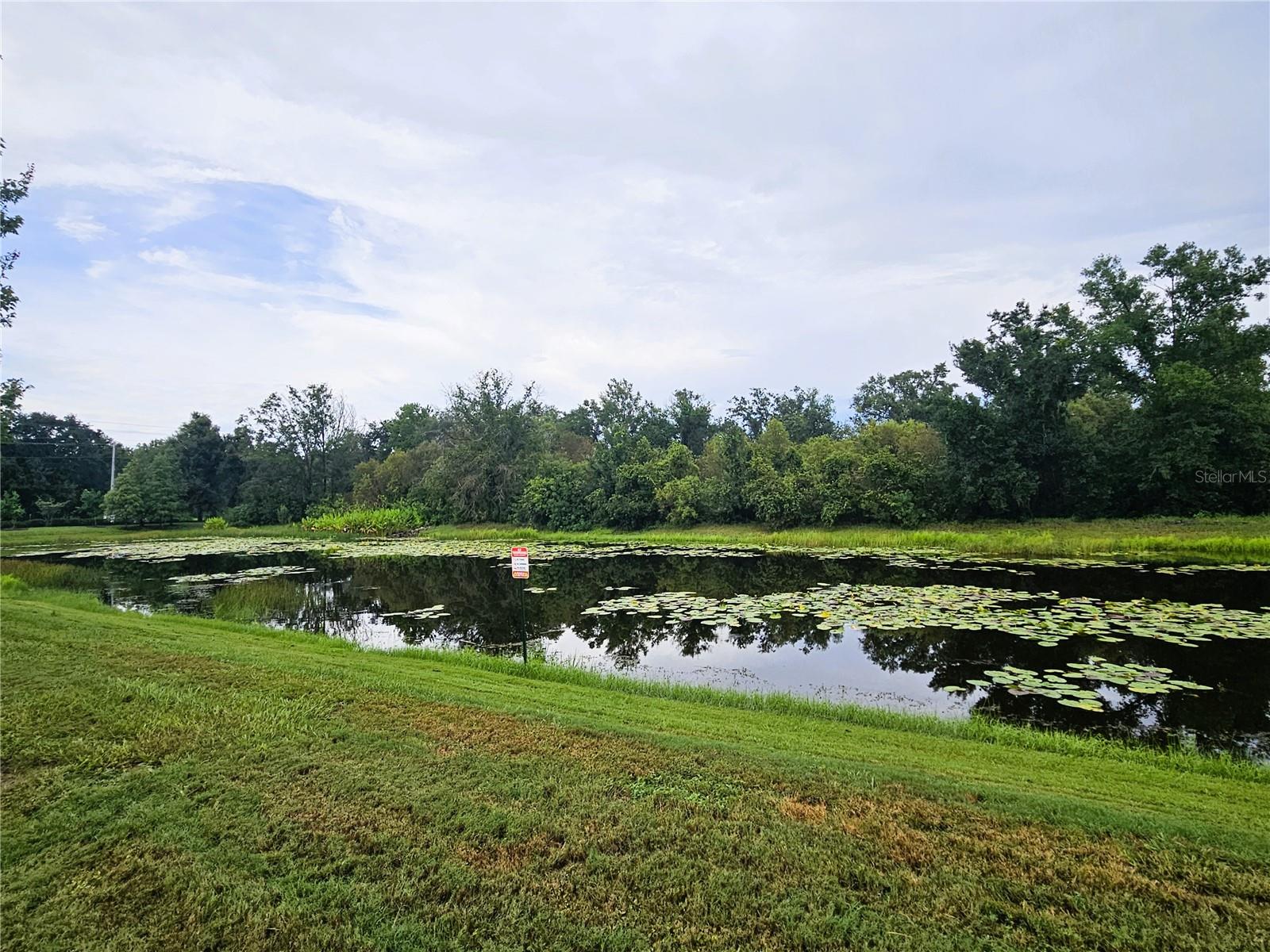 13251 DUPREE HILLS PL — photo 38