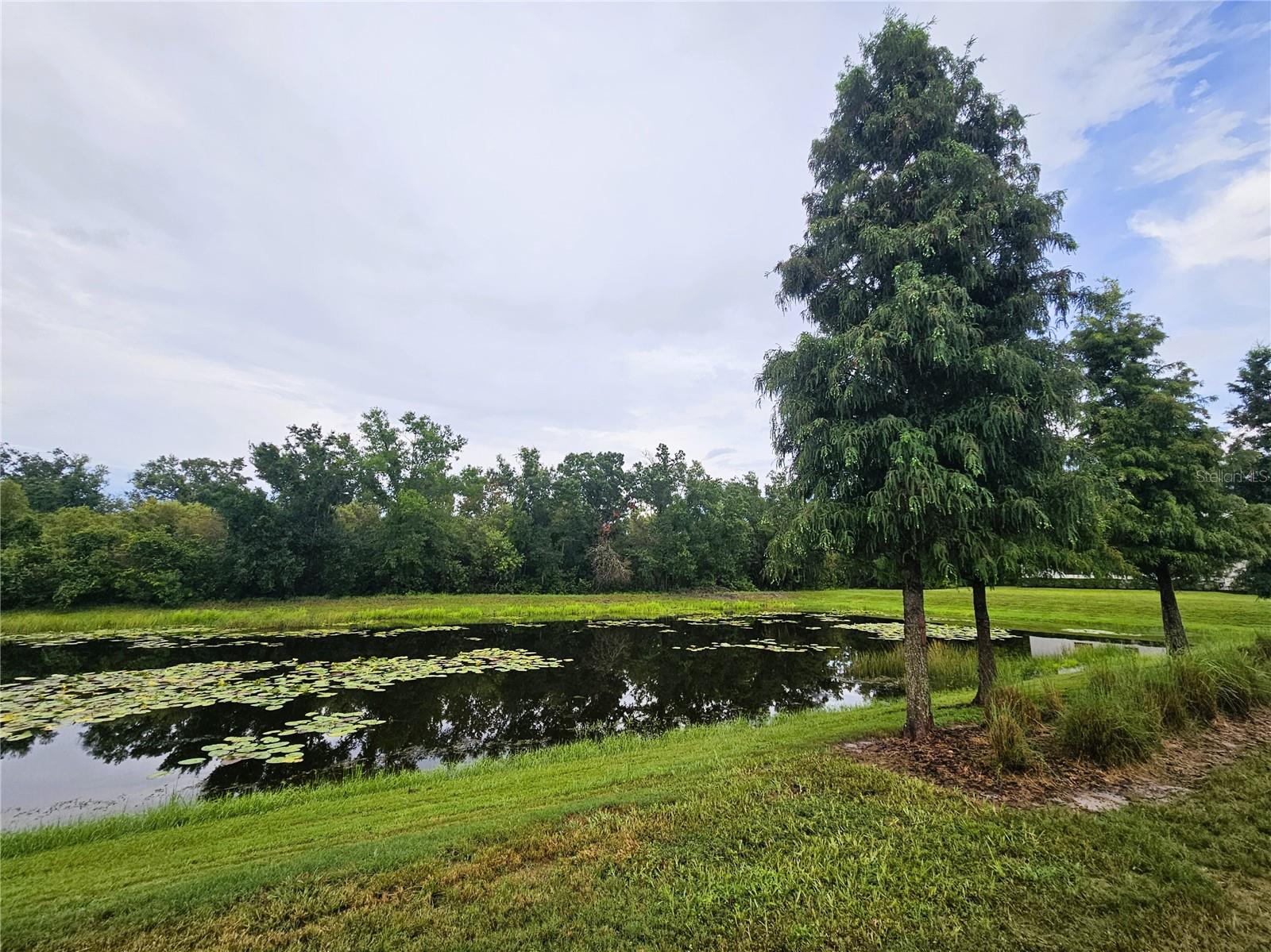 13251 DUPREE HILLS PL — photo 37