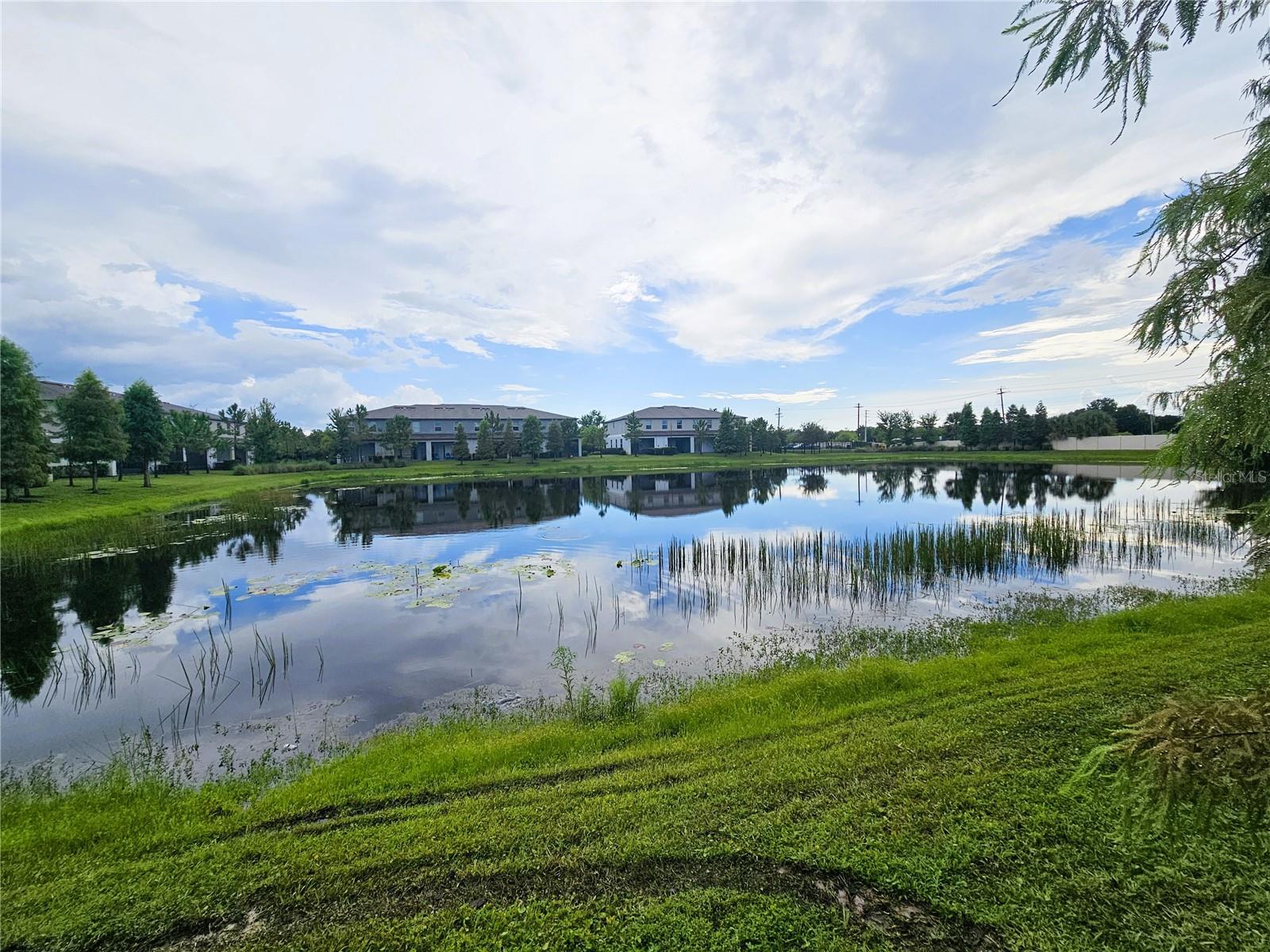 13251 DUPREE HILLS PL — photo 36