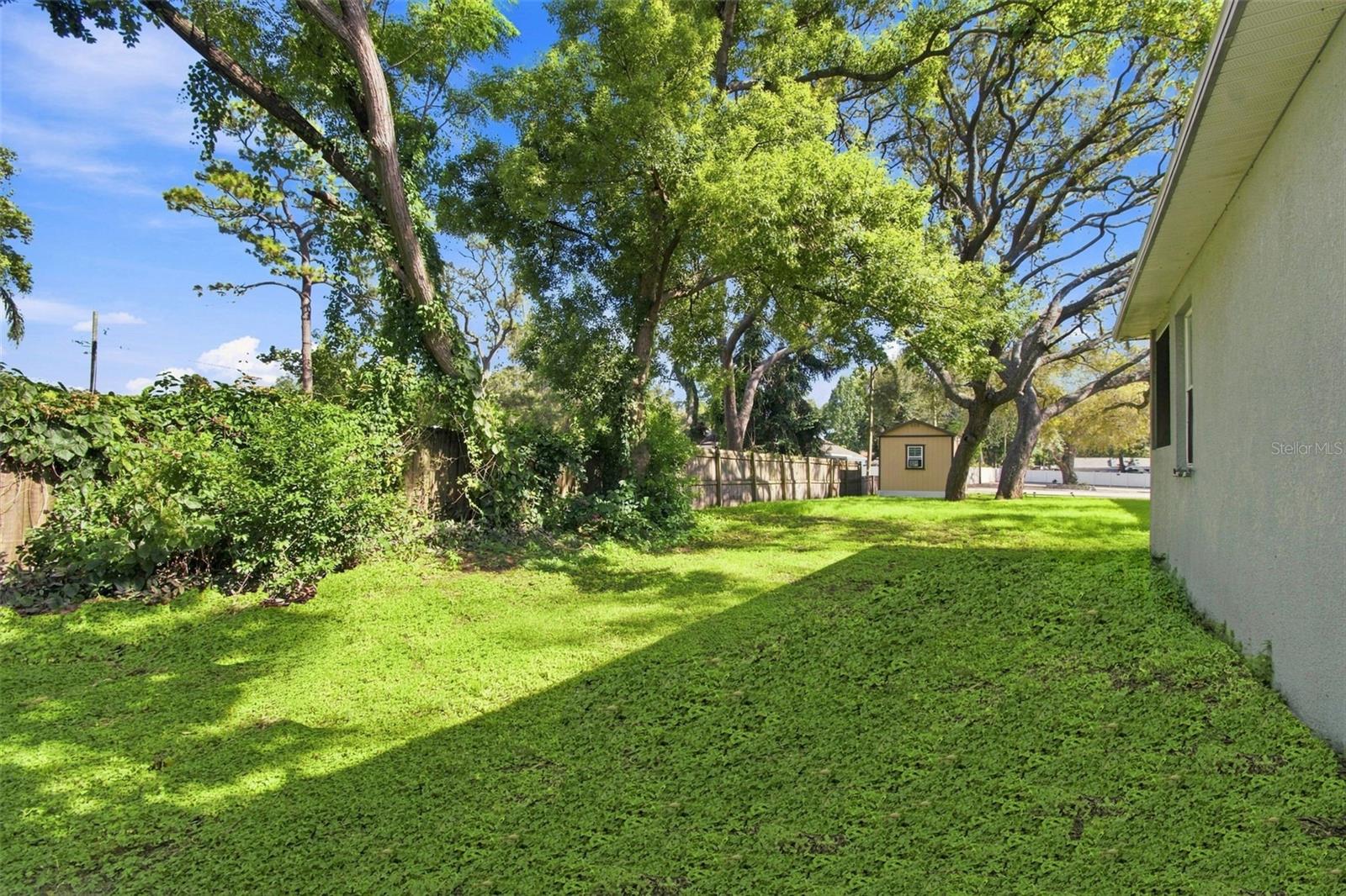 8903 N WILLOW AVE — photo 33