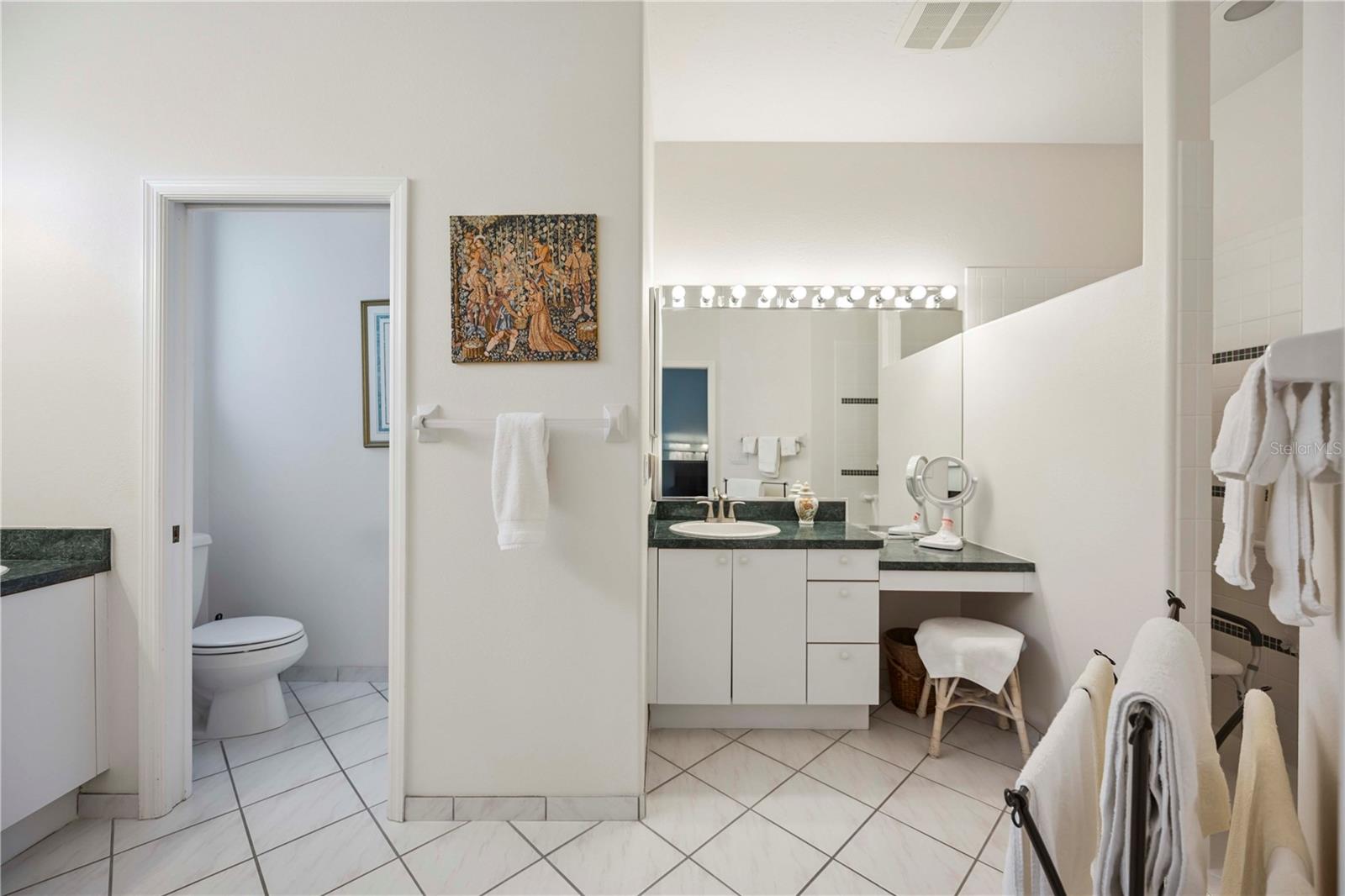 3852 AMAPOLA LN — photo 19