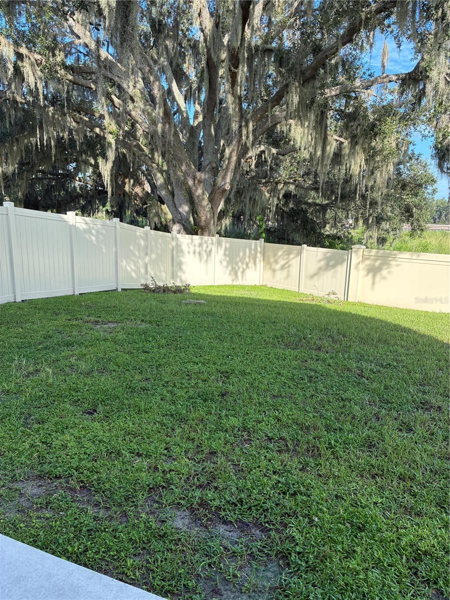 7553 PEACE LILY AVE — photo 20