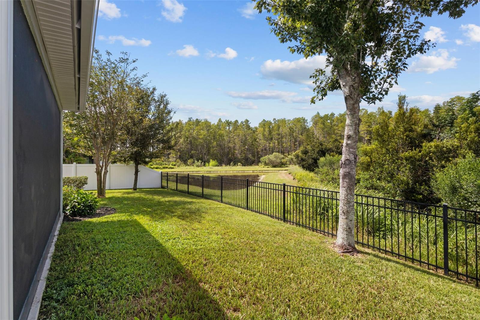 15170 AVILES PKWY — photo 32