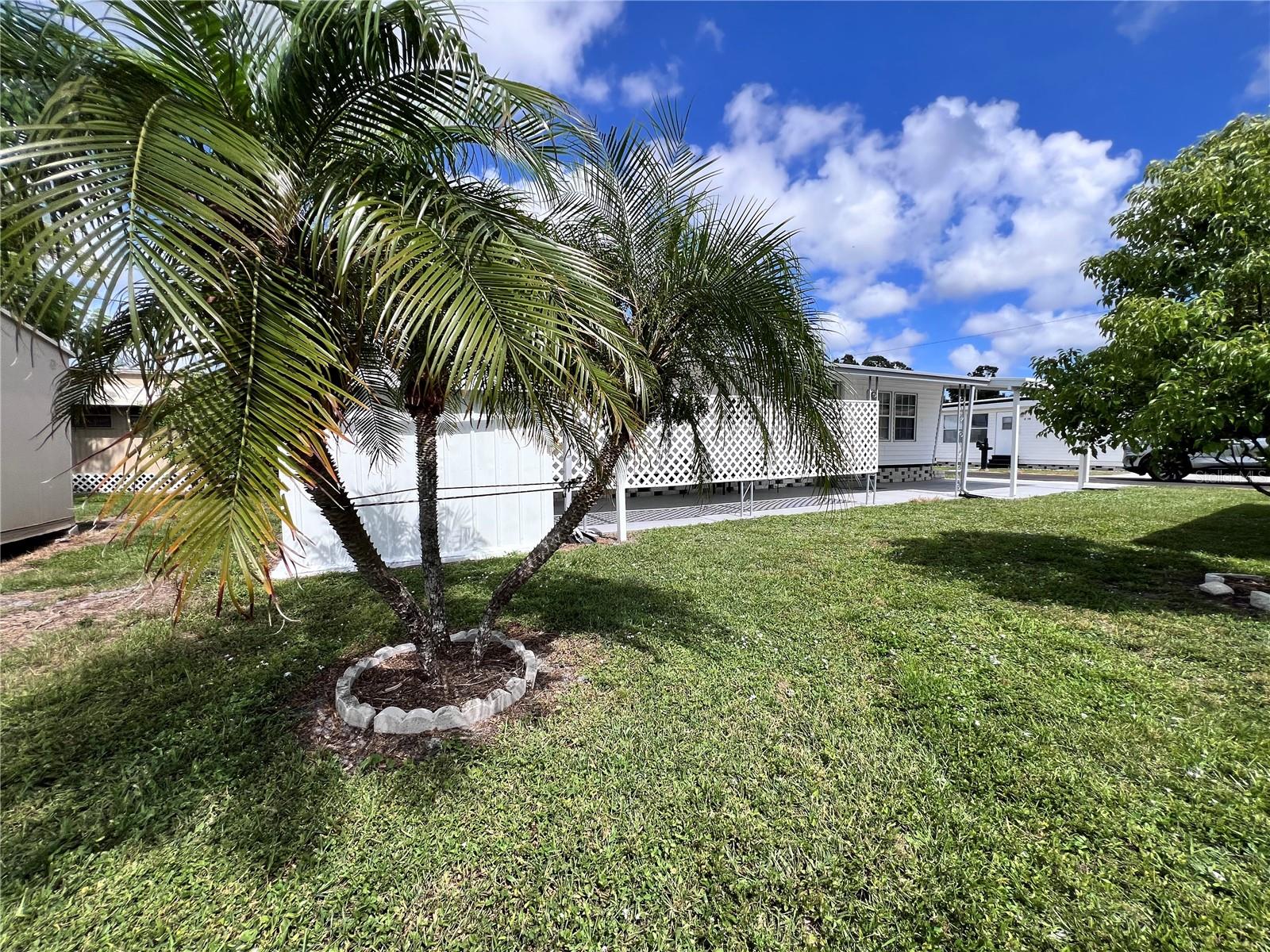 12674 SEMINOLE BLVD #C35 — photo 9