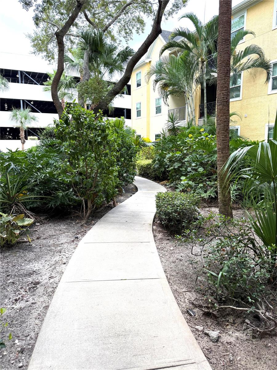 1810 E PALM AVE #5119 — photo 11