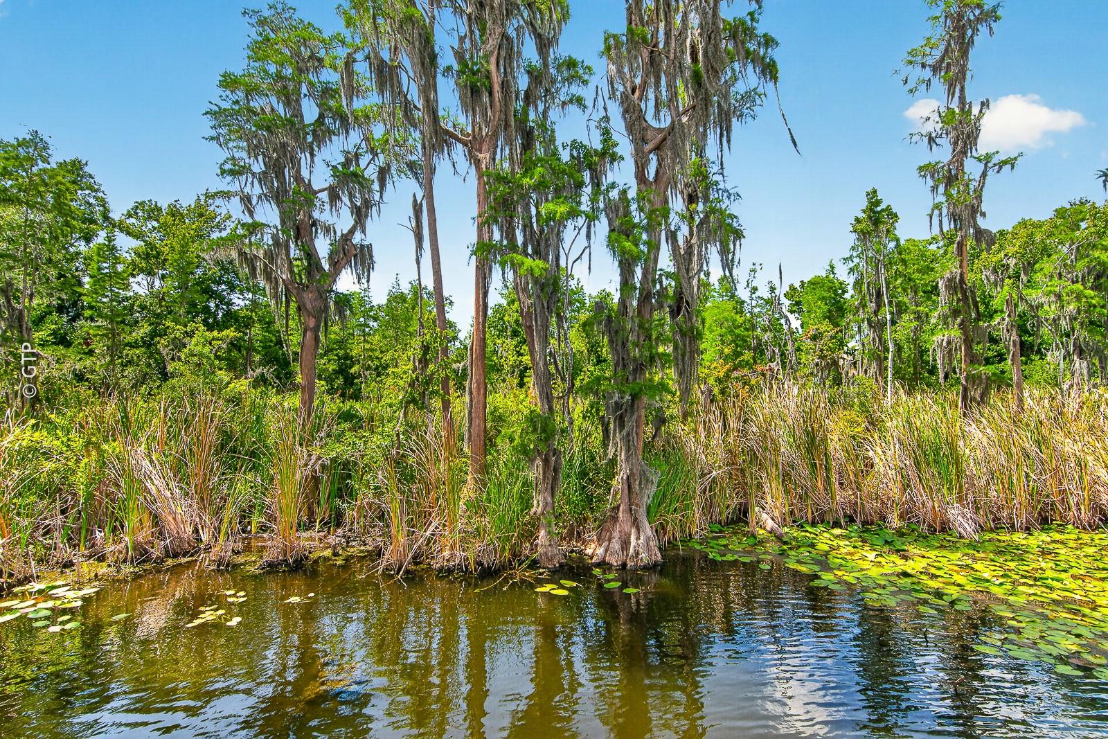 11231 BELLE HAVEN DR — photo 72