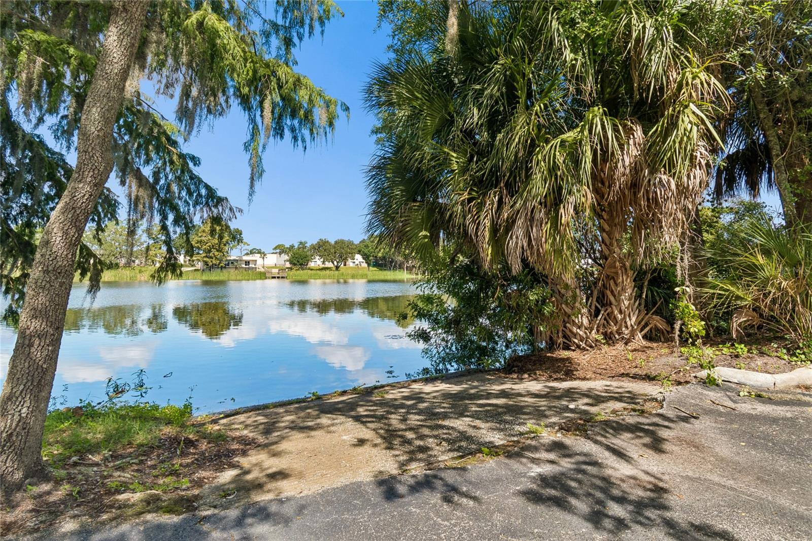 4009 DOLPHIN DR — photo 46