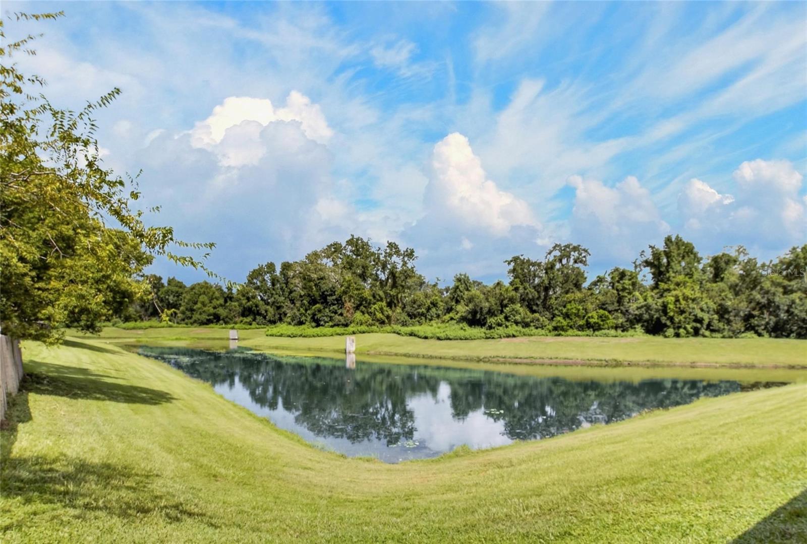 535 SCARLET MAPLE CT — photo 45