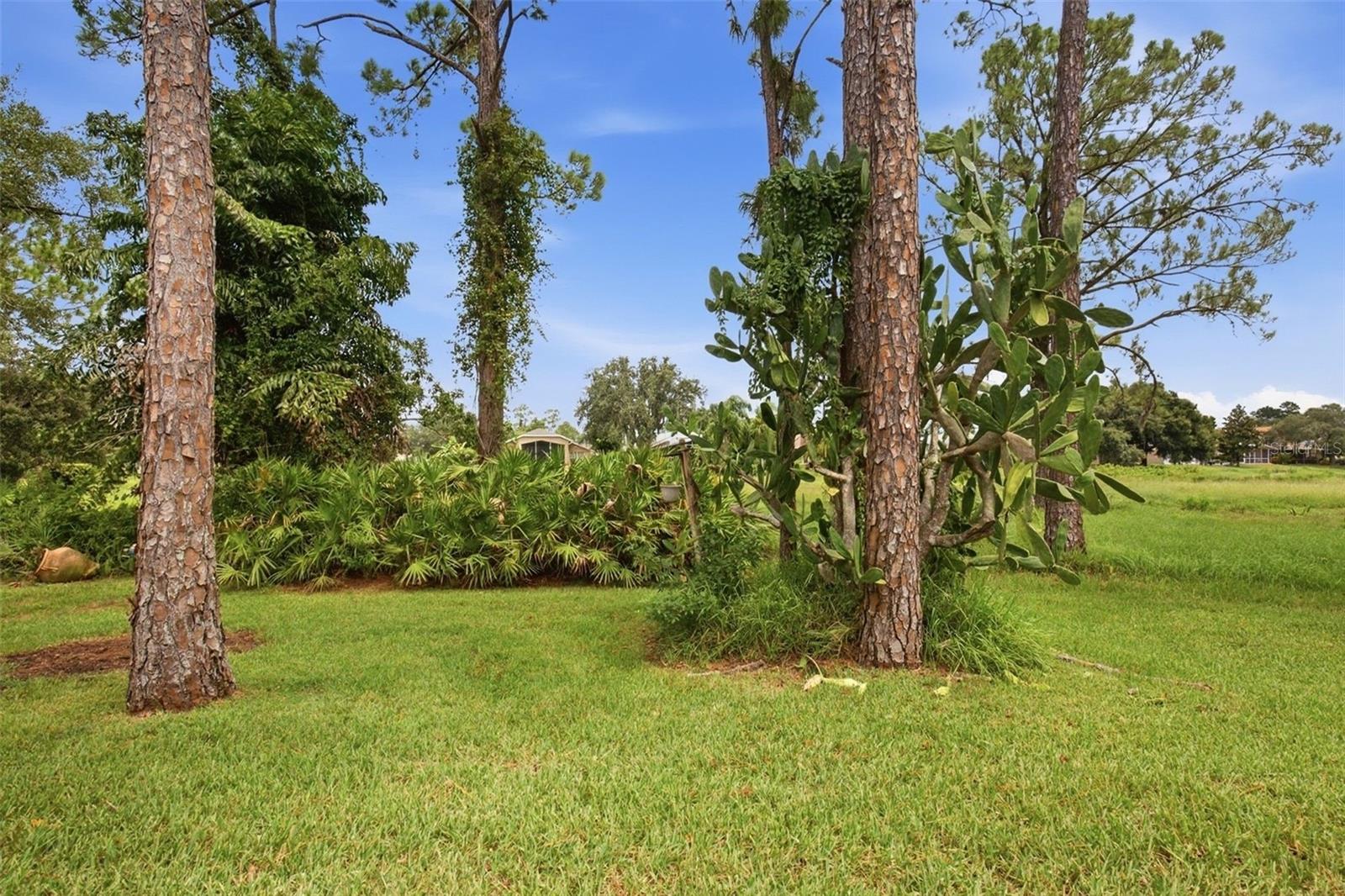 7444 MOORGATE CT — photo 30