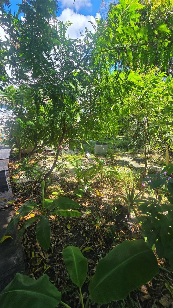 1205 E 26TH AVE — photo 11