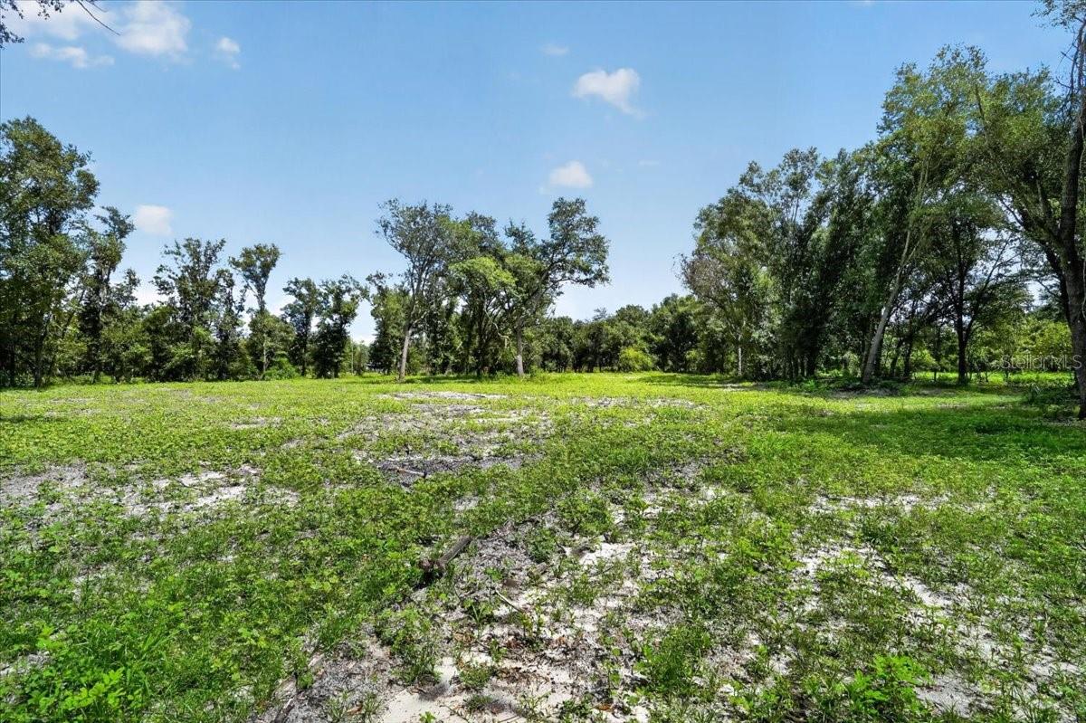 GILL RD — photo 4